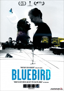 Bluebird (DVD)